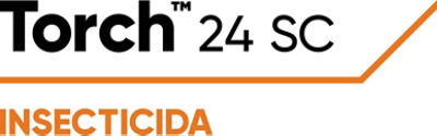 Torch™ 24 SC