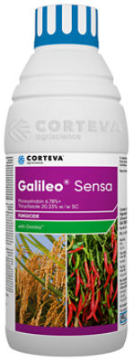 Galileo sensa