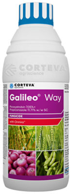 GalileoWay