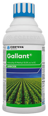 Gallant_1200ml_Front