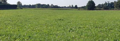 Graslandbrochure-Front-mobile