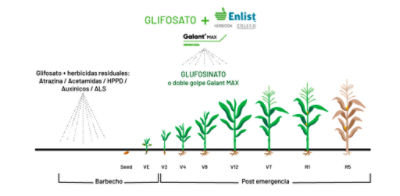 Imagen desktop PWE grafico