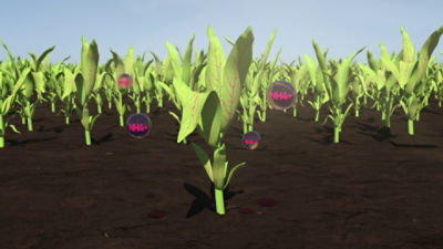 Hoe werkt Utrisha® N?