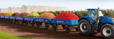 Caminhão carregado de frutas e legumes