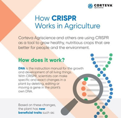 What Is CRISPR?