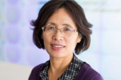 Huirong Gao, Research Scientist