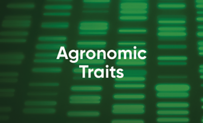 Agronomic Traits 
