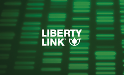 libertylink logo