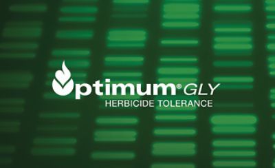 Optimum Gly logo