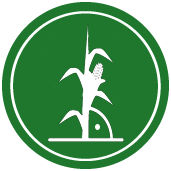 odporność na wyleganie