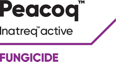 Peacoq logo