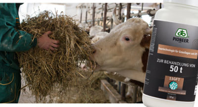 IMG-11GFT-Pioneer-V1