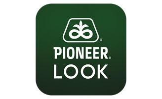 Pioneer Look
