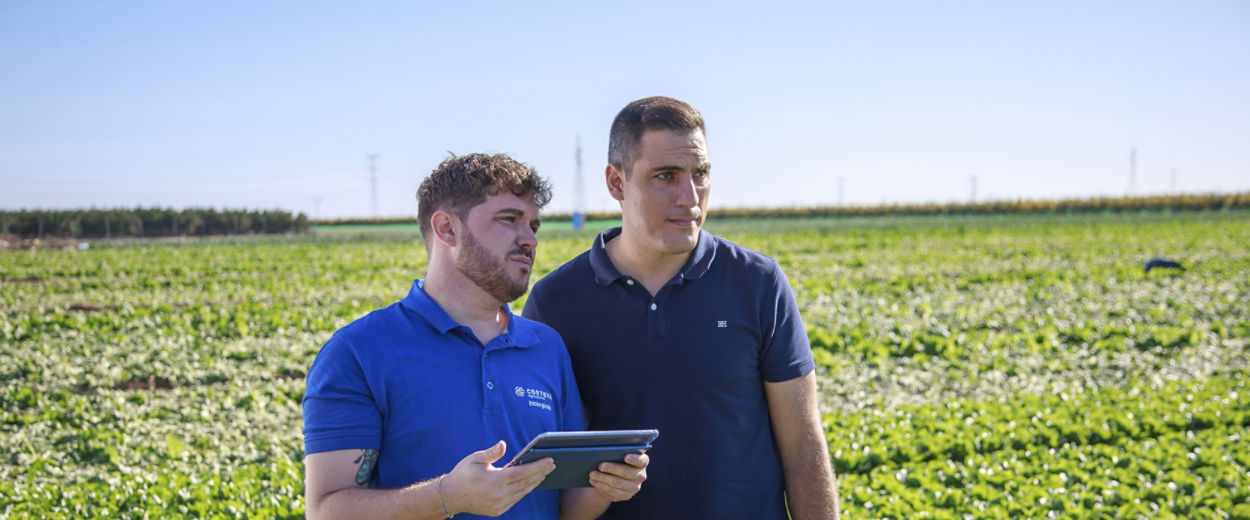 Two adult men stand together in a lush green agricultural field under a clear blue sky. One man in a