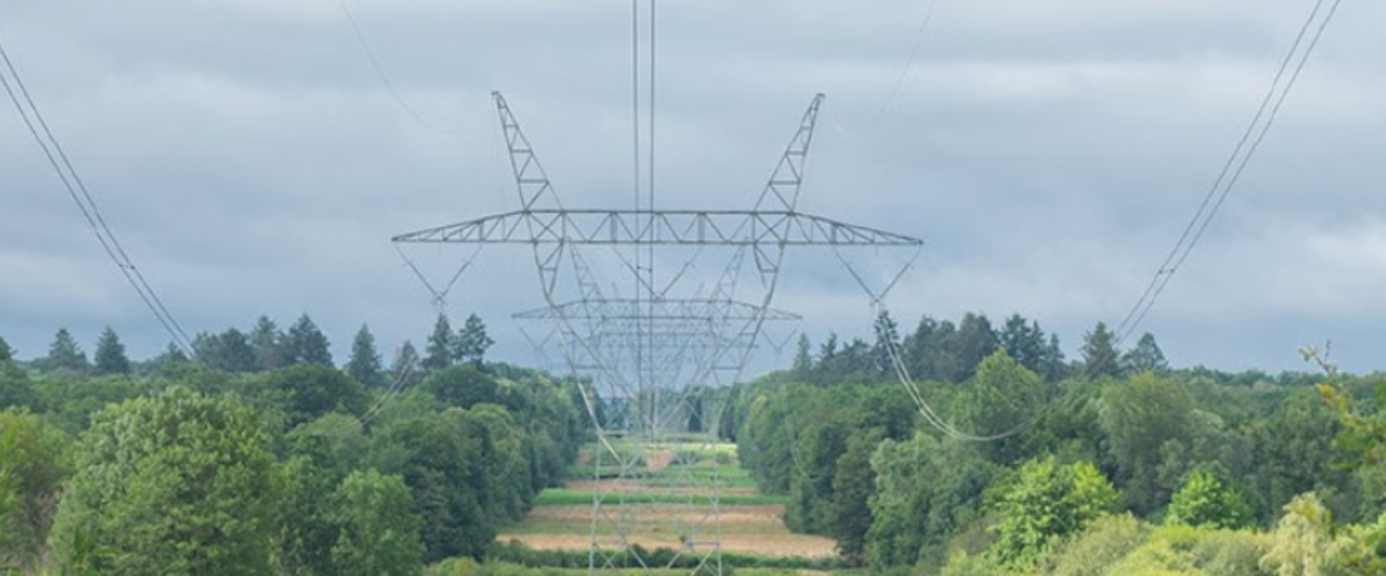 Land Management photo to illustrate why Rinskor™ active is a good fit for Land management.