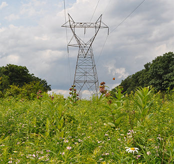 field with power lines