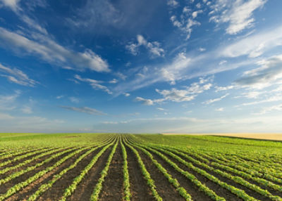 IMG-AdobeStock_123791754-Corteva-V