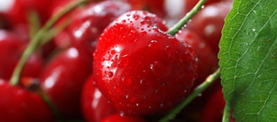 IMG-AdobeStock_169283643-Corteva-Global-V1