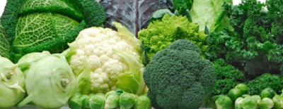 IMG-AdobeStock_17990622-Corteva-Global-V1