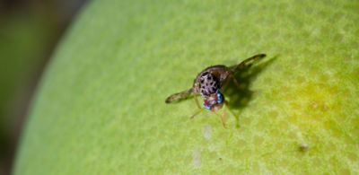 IMG-AdobeStock_226371487-Corteva-Global-V1