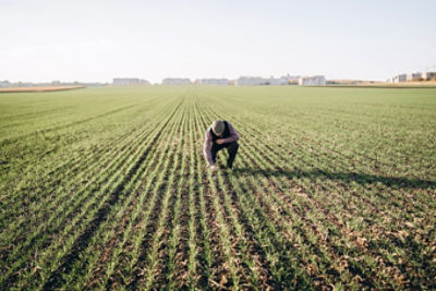 IMG-AdobeStock_261056990-Corteva-ZA-V1