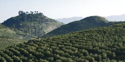 IMG-AdobeStock_403594707-Corteva-Global-V1