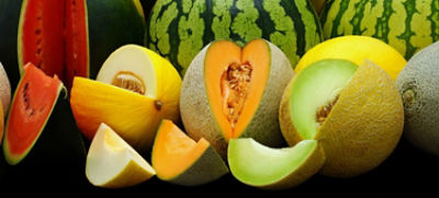 IMG-AdobeStock_83132702-Corteva-Global-V1