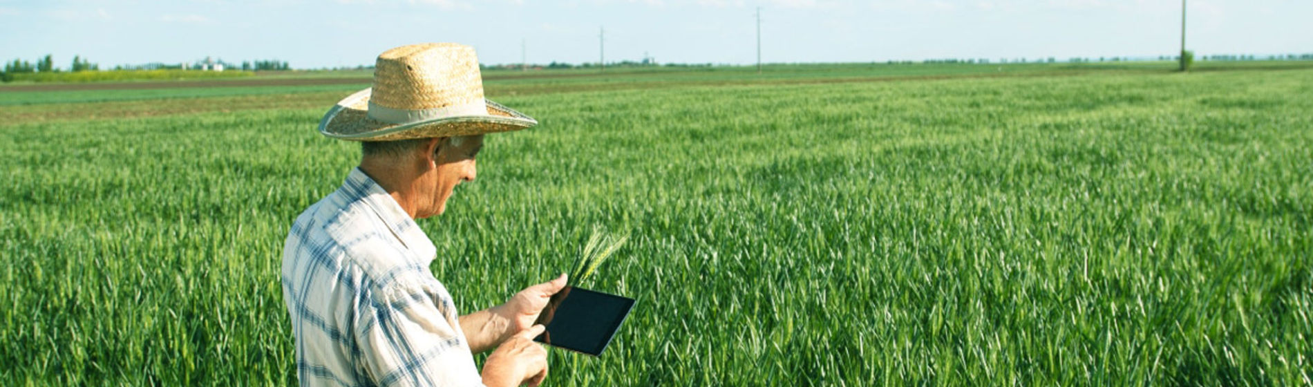 Agricultura Big Data