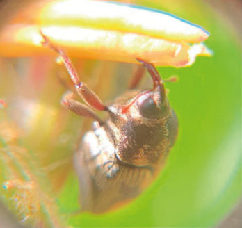 IMG-Agronomia-LA-CO-V1