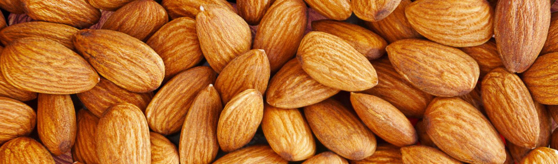 Almendro Banner
