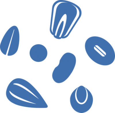 Application Icon