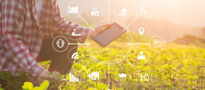 Cinco dicas para o negócio no campo decolar