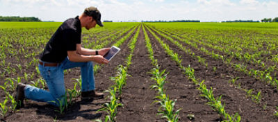 Agilidade nas Decisões