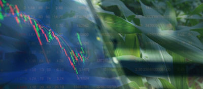 Gráfico de dados financeiros sobreposto a uma imagem de campo de milho, destacando a relação entre tecnologia e agricultura.