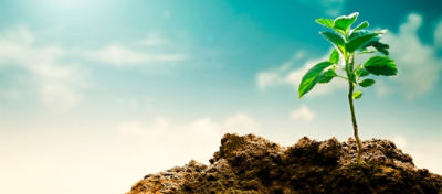 Bioinsumos são caminho sem volta na agricultura global