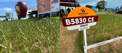 B5830CE na feira Show Safra 2022