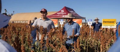 De camisa cinza, Adricson Provenssi, engenheiro agrônomo da Corteva Agriscience™