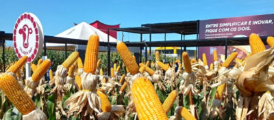 Brevant® Sementes estará presente em diversos eventos do país