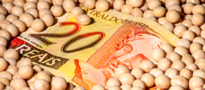 Nota de vinte reais sobre grãos