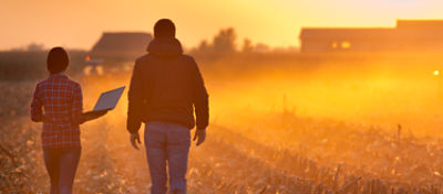Engenheira com laptop e proprietário em sua lavoura.