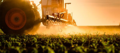 Trator aplicando defensivo na cultura do milho pouco depois da emergência.