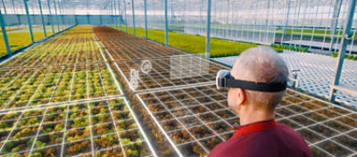 Fazendeiros compram e vendem terras, cultivam lavouras, criam animais e até desenvolvem sementes no ambiente agrícola virtual 