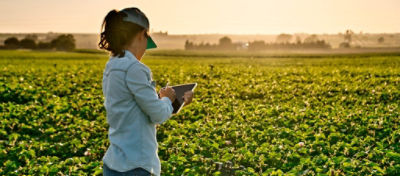 Mulheres do agronegócio fazem história com dedicação e paixão.