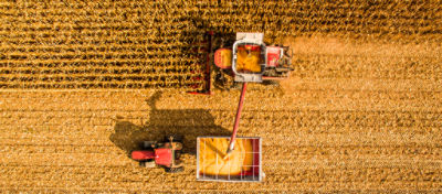 Preço do Milho e da Soja: Expectativas para o segundo trimestre