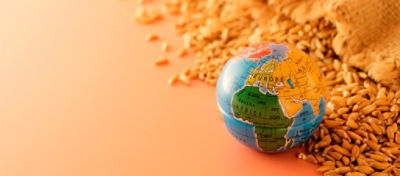 Safra de grãos do Brasil alimenta o mundo