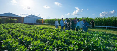 Análise de soja tratada com Lumialza. Foto: Agrofilmes.