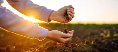 Close-up de mãos humanas tocando o solo em um campo, com luz do sol ao fundo. A imagem mostra uma pessoa examinando a terra, simbolizando práticas de manejo do solo e cuidados agrícolas. O cenário sugere um ambiente rural ao amanhecer ou entardecer, com foco na importância da saúde do solo para a agricultura sustentável.