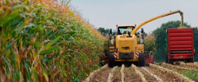 Colheitadeira de milho realizando a operação