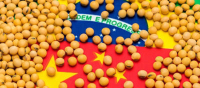 China pede mudanças nos padrões de classificação de grãos de soja