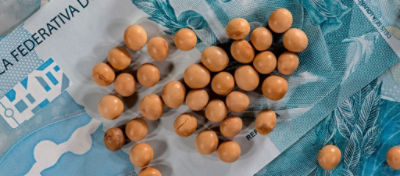 Grãos de soja sobre dinheiro.